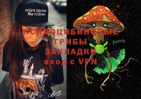 прущие крисы Касимов