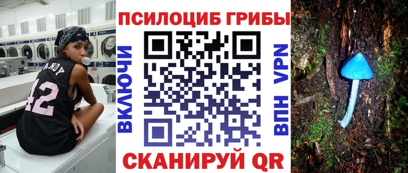 Псилоцибиновые грибы мицелий Купить где Кувшиново