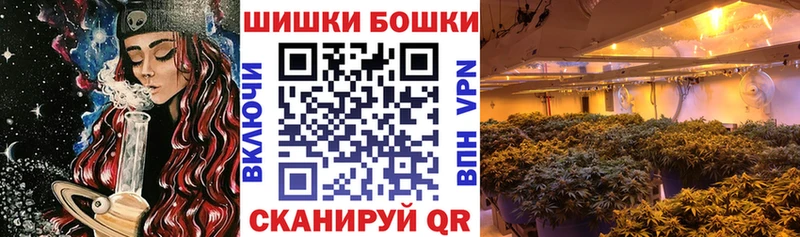 Бошки Шишки VHQ Кувшиново